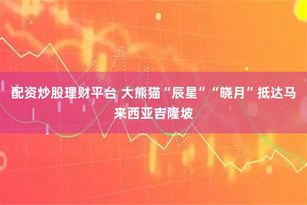 配资炒股理财平台 大熊猫“辰星”“晓月”抵达马来西亚吉隆坡