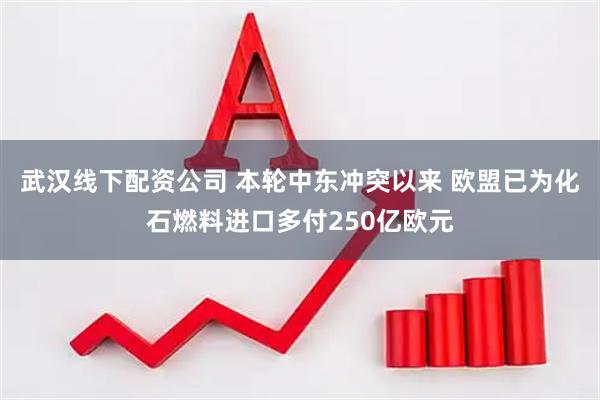 武汉线下配资公司 本轮中东冲突以来 欧盟已为化石燃料进口多付250亿欧元